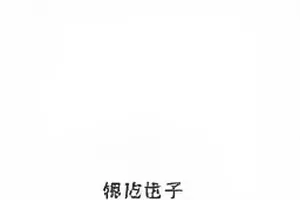 《霓虹旧事》海报，霓虹灯管与雨夜街道